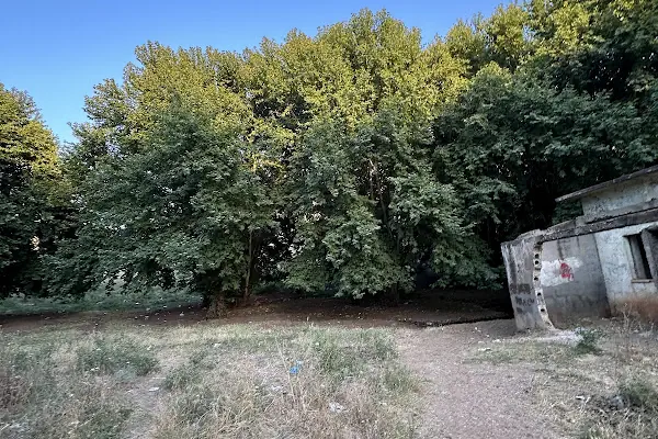 Reis'in Yeri Yüzme Havuzu &amp; Piknik Alanı