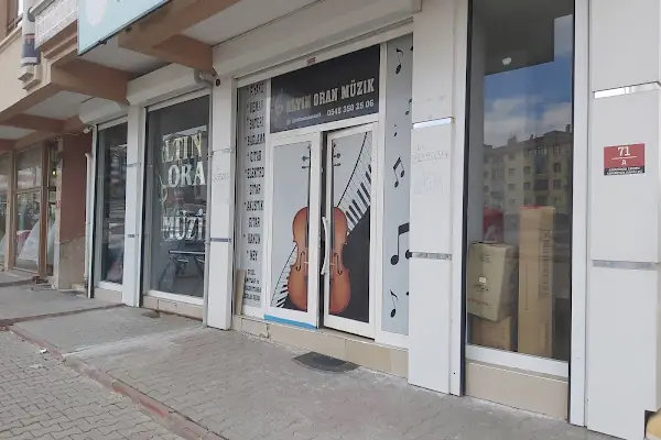T.C. MEB ALTIN ORAN MÜZİK KURSU