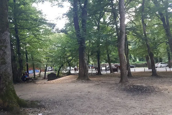 Falih Rıfkı Atay Tabiat Parkı