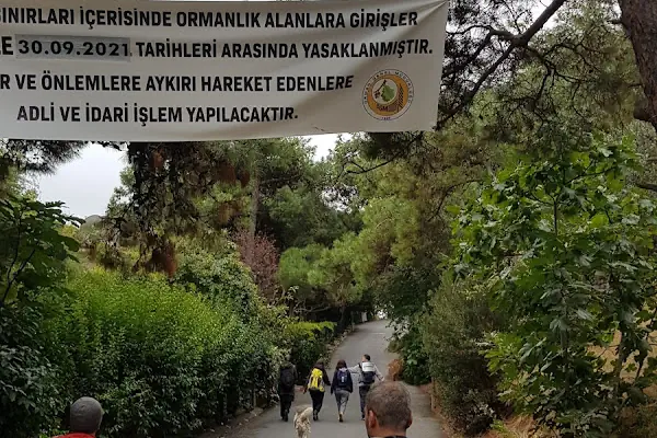 Gönüllü Caddesi