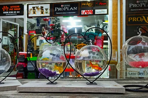 Eftelya Petshop