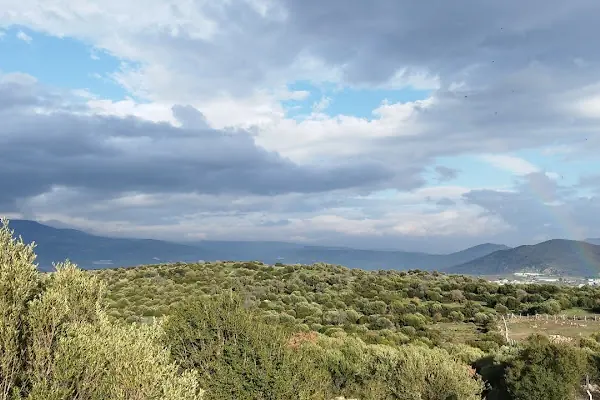 Emiralem Yeni Yayla Mezarlığı
