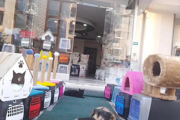 Pıtırcık pet shop