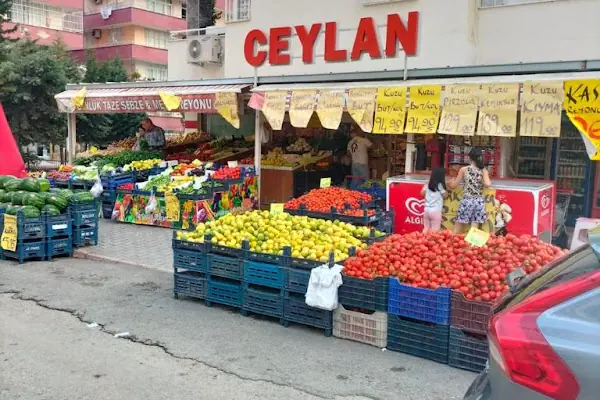 Ceylan Gross Market