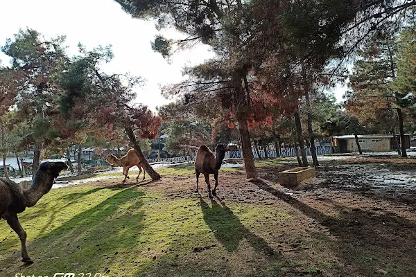 Gaziantep Hayvanat Bahçesi Binicilik