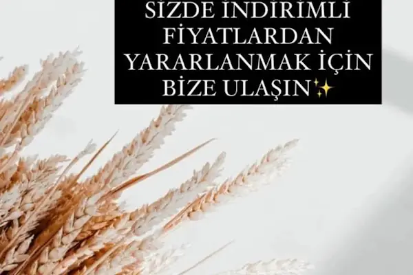 Gemlik