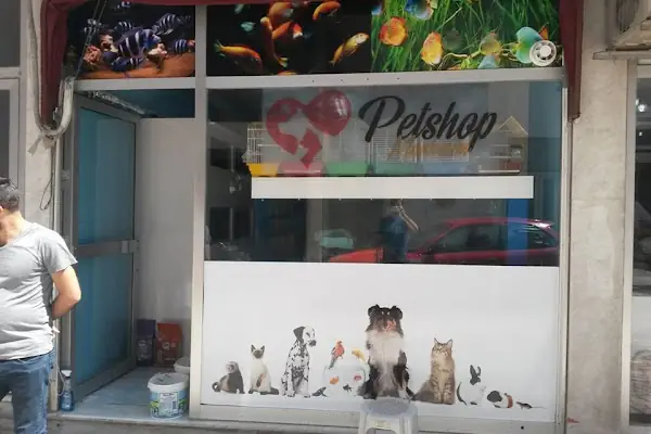 Pet Shop Marketim - Kocaeli ve İzmit Akvaryum Mağazası