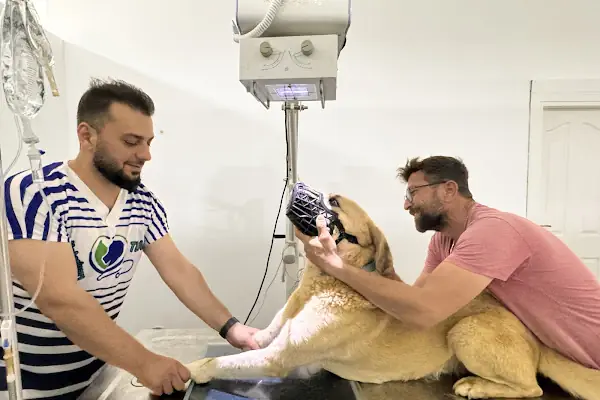 My Vet Veteriner Kliniği (since 2017)