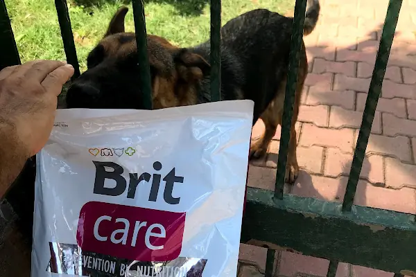 Lara Pet Center