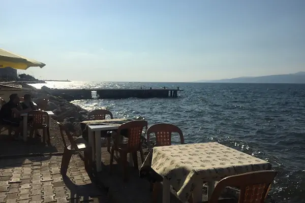 Sarı Kahve
