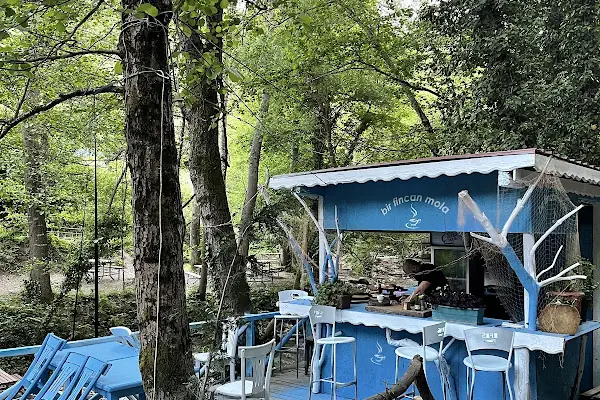 Bı fincan mola