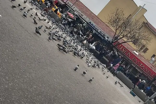 Ogün Giyim