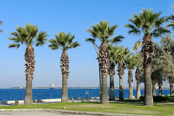 T.C. Aliağa Belediyesi