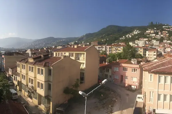 Bursa