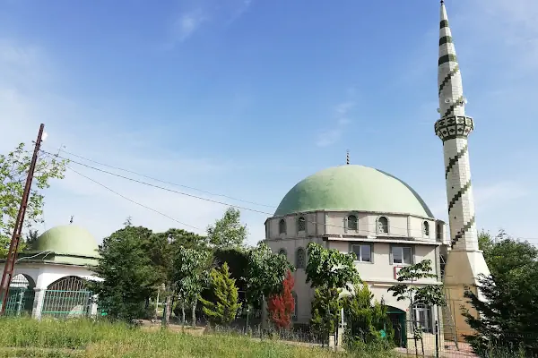 Kuba Cami