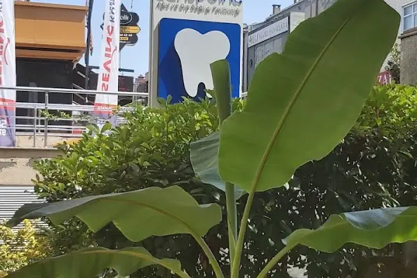 Dentpoint Ağız Ve Diş Sağlığı Polikliniği