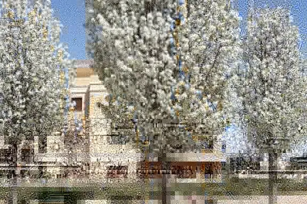 Arıkbaşı Köyü Muhtarlığı