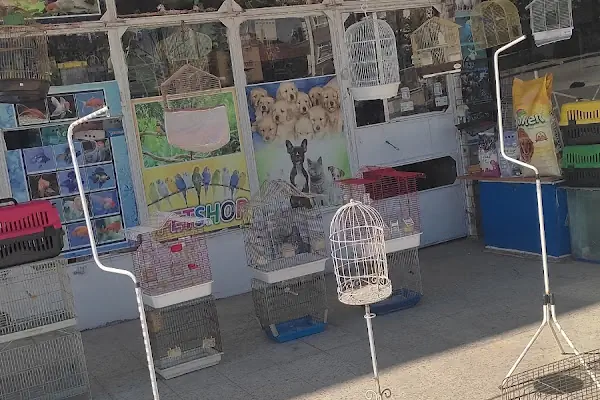 Burkan Pet Shop