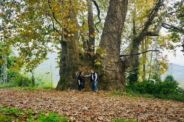 Kızıloba İlkokulu