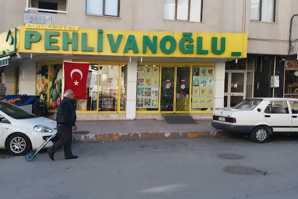 Pehlivanoğlu