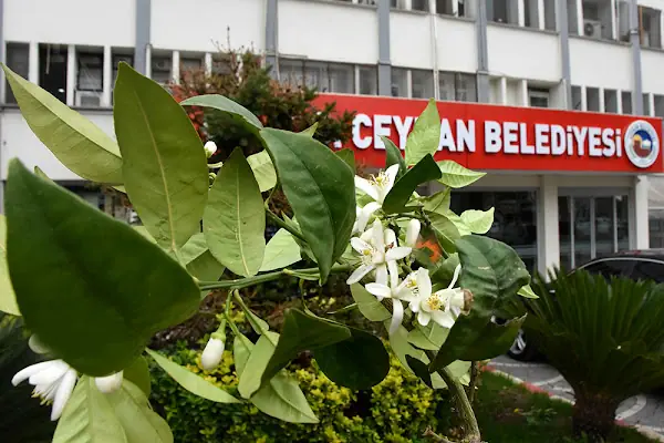 Ceyhan Belediyesi