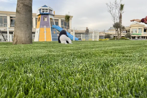 Çucuk Parkı