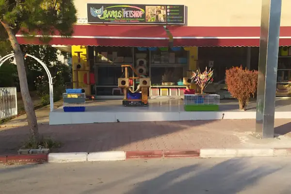 Antalya Baykuş Pet Shop Lara
