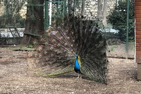 BEF Doğal Yaşam Parkı
