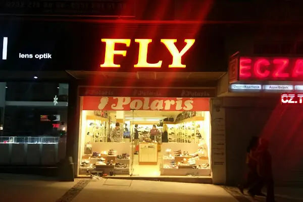 Fly