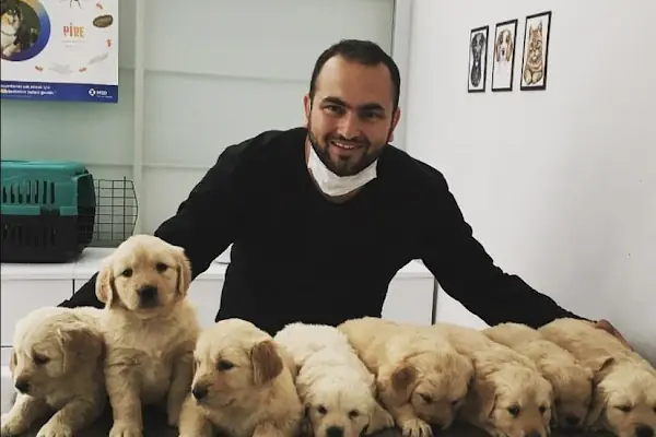 Aldeva Veteriner Kliniği
