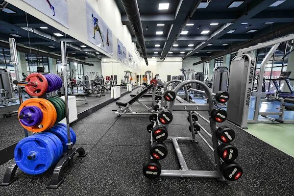 ANKARA BÜYÜKŞEHİR BELEDİYESİ ALTINPARK 100. YIL YÜZME HAVUZU VE SPOR KOMPLEKSİ