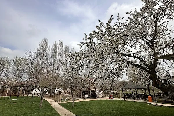 Hamdi abi et güveç