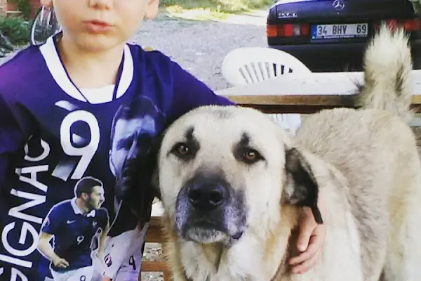 Kardeşler Oto Yıkama