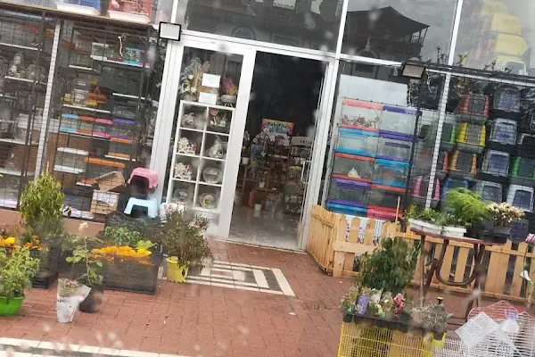 Altındağ Kadife Petshop