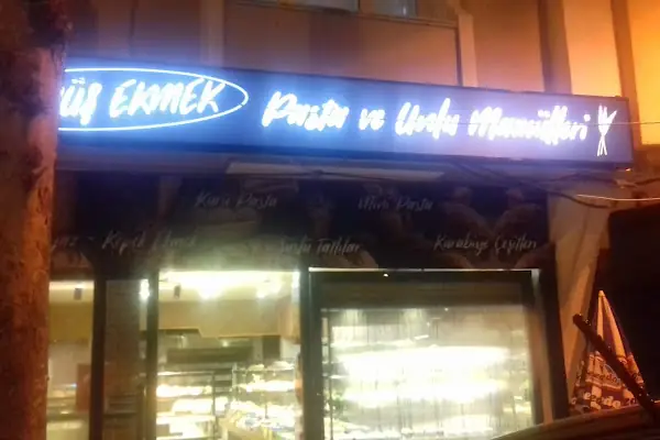 Gümüş fırın