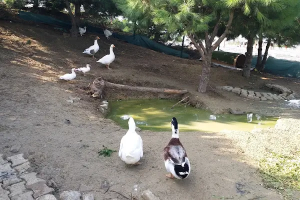 İstaç A.Ş IMRAHOR REHABİLİTE MAKSATLI HAFRİYAT SAHASI