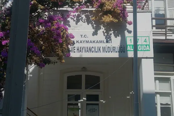 Loc'ada Büyükada