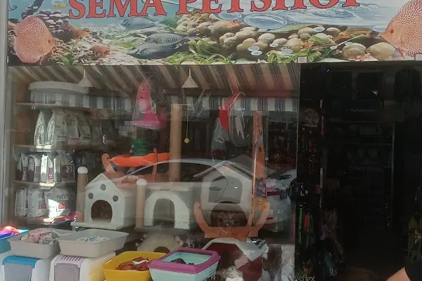 Vatos's Akvaryum Petshop