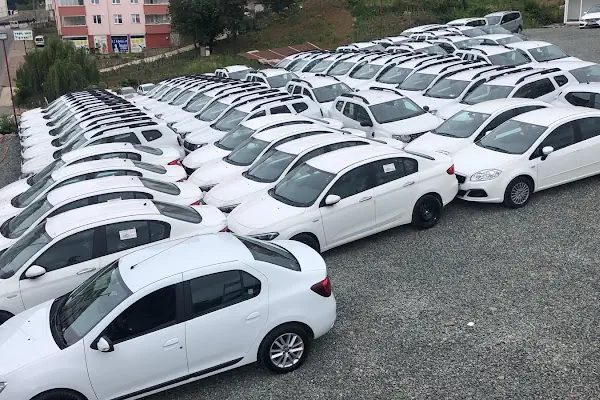 Wish Car Rental