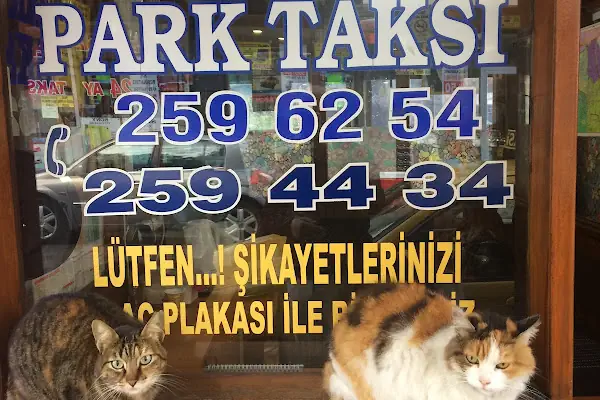 Park Taksi