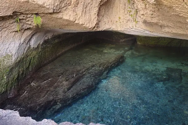 Reis'in Yeri Yüzme Havuzu &amp; Piknik Alanı