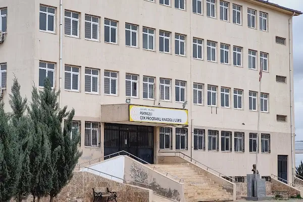Pekmezli Çok Programlı Anadolu Lisesi