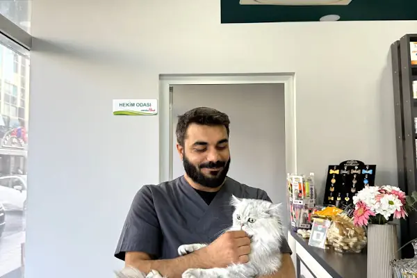 Küçükçekmece White Vet Veteriner Kliniği