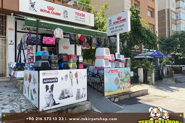 Tekir Petshop