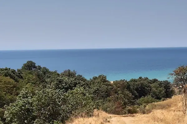 Karaincirli Köyü Muhtarlığı