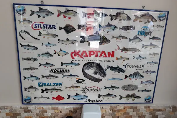 Yakamoz Balık Lokantası