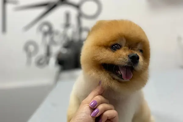 TANER AK KADIN &amp; ERKEK KUAFÖR SALONU &amp; Solarium &amp; microkaynak&amp;lazer epilasyon