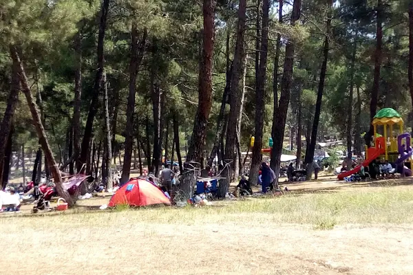 Karagöz Şenlik Alanı