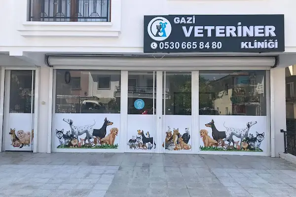 Ankara Gazi Veteriner Kliniği