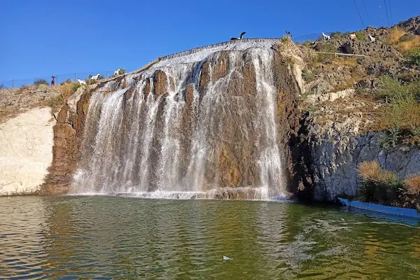 Kartaltepe Kent Ormanı Mesire Alanı